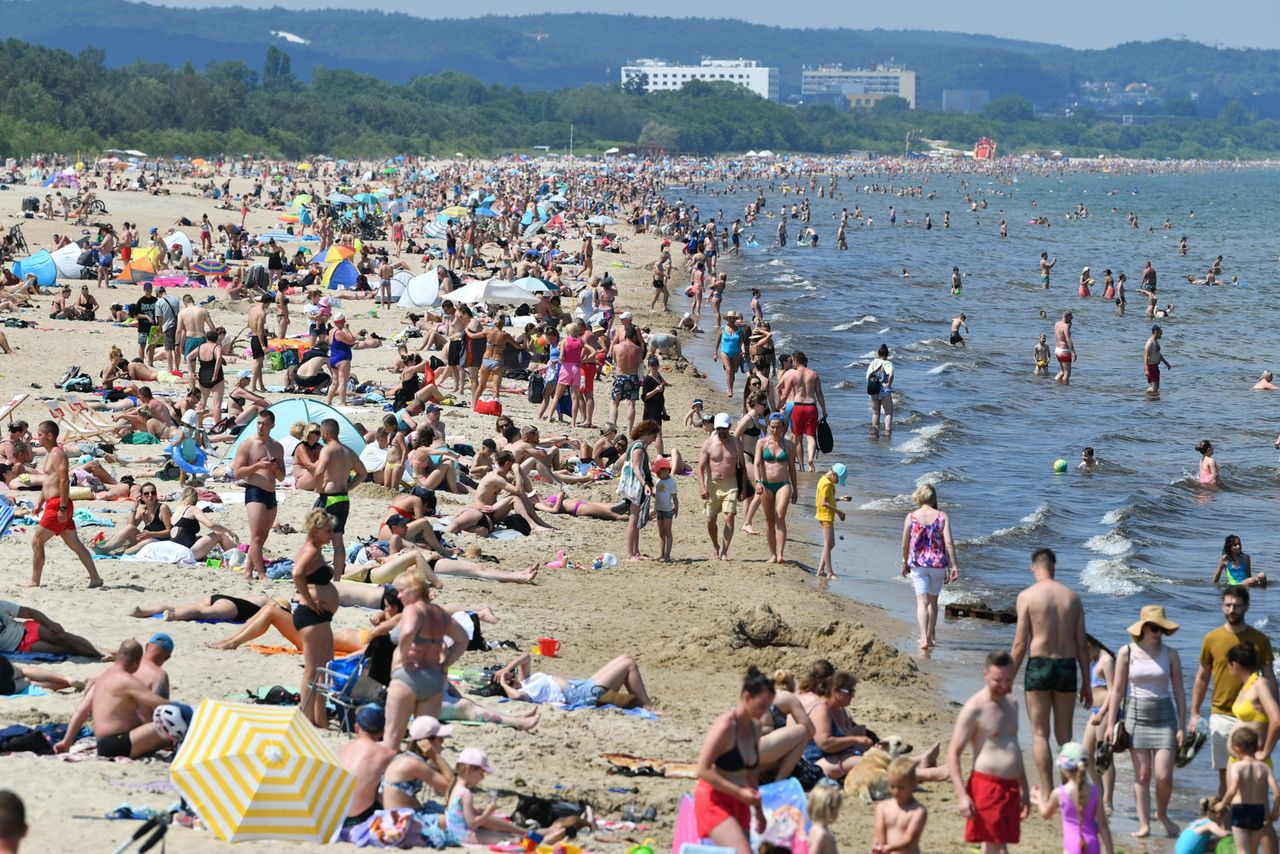 Gdzie można się kąpać w Bałtyku? Sprawdź, czy są sinice i temperaturę wody
