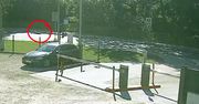 Potrąciła dziewczynę i uciekła. Świadek też odjechał. Policja ma nagrania