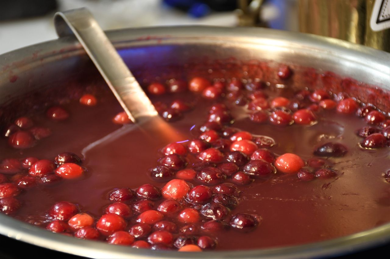Cranberries daily intake could improve heart health and fight stomach cancer, study suggests