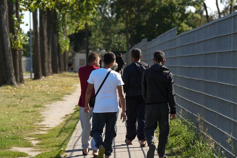 PIP ostrzega przed falą nielegalnej imigracji w Polsce. Powód: plany resortu rozwoju