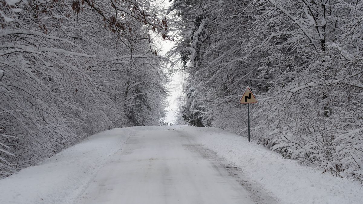 Zdjęcie ilustracyjne