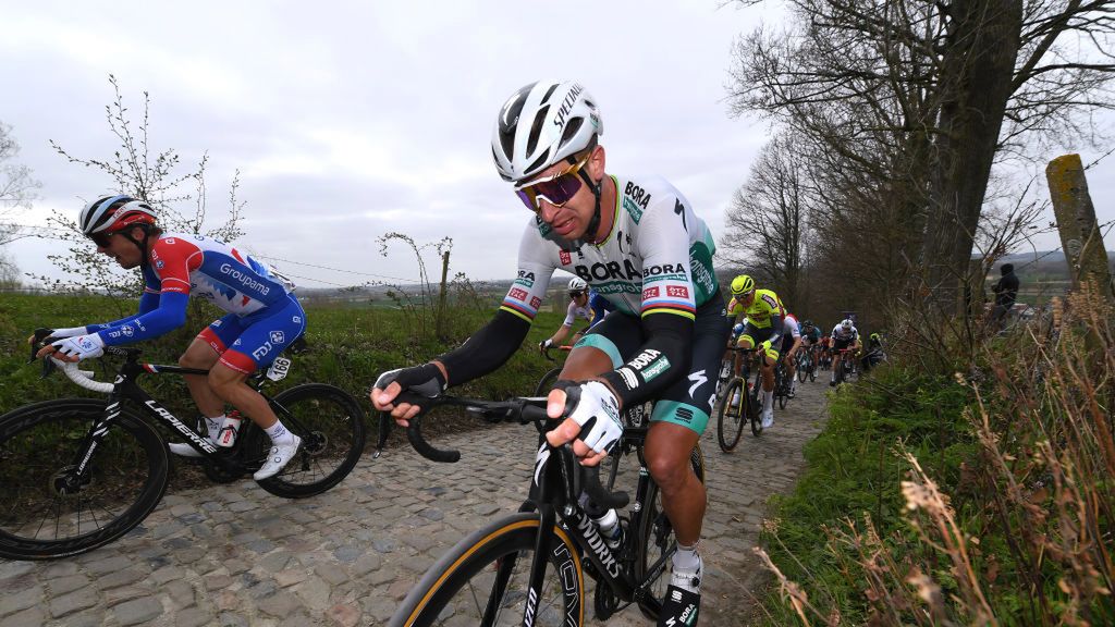 Getty Images / Tim de Waele / Na zdjęciu: Peter Sagan