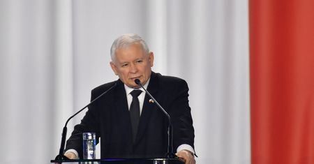 PiS ma kłopot. "To może być przyjęte jak 'piątka dla zwierząt'"