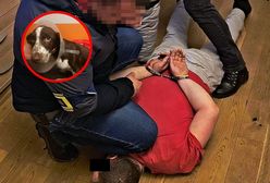 Zgotował Fijo koszmar. Oprawca w rękach policji