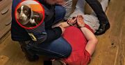 Zgotował Fijo koszmar. Oprawca w rękach policji