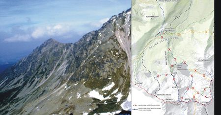 Tatry. Zamknięte szlaki. Niedźwiedzica wyprowadza młode