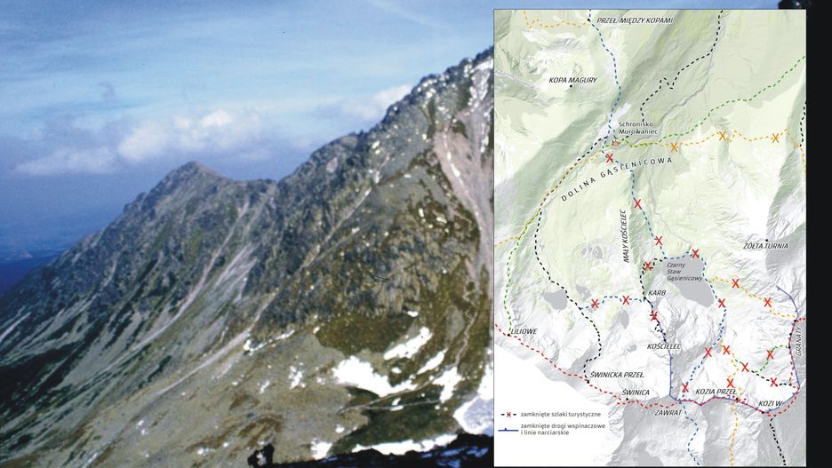 Tatry. Zamknięte szlaki. Niedźwiedzica wyprowadza młode
