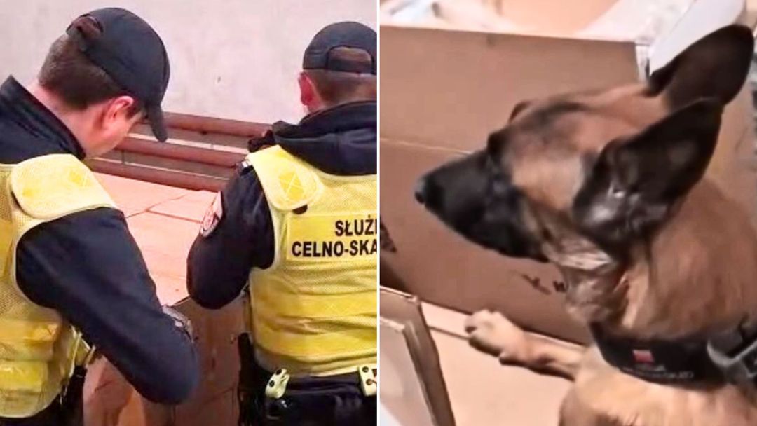 wiadomości,aktualności,WP Wiadomości Weszli na prywatną posesję. Magazyn skrywał wielką tajemnicę