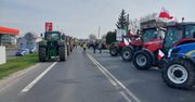 Wielkanocny protest rolników na DK 25 w Stawiszynie. "Bez wiaduktu nie ruszymy z pola!”