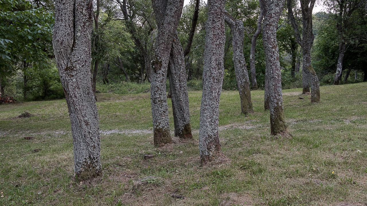 Jak właściwie należy podejść do takiego tematu? Jak rozmawiać z ludźmi, jak ich fotografować?