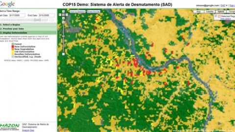 Nowa aplikacja Google wspomoże monitorowanie wylesiania 1