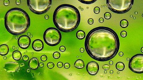 Synteza biopaliw - pora na mikroby 1