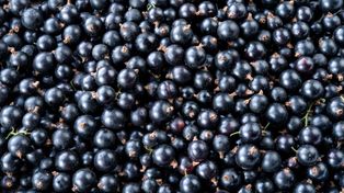 Dieta na dobry słuch? Te produkty zmniejszają ryzyko pogorszenia słuchu