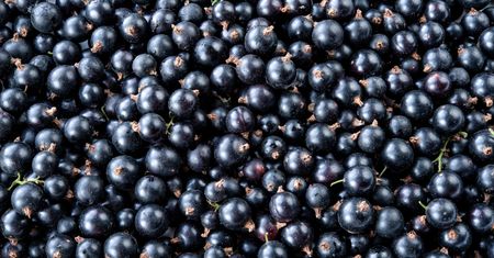 Dieta na dobry słuch? Te produkty zmniejszają ryzyko pogorszenia słuchu