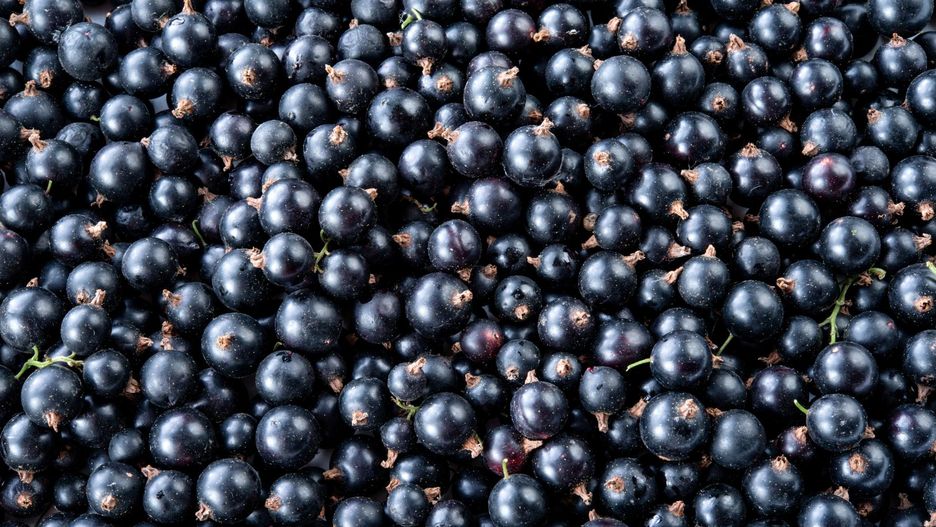 Czy istnieją produkty, które mogą naturalnie poprawić jakość słuchu?
