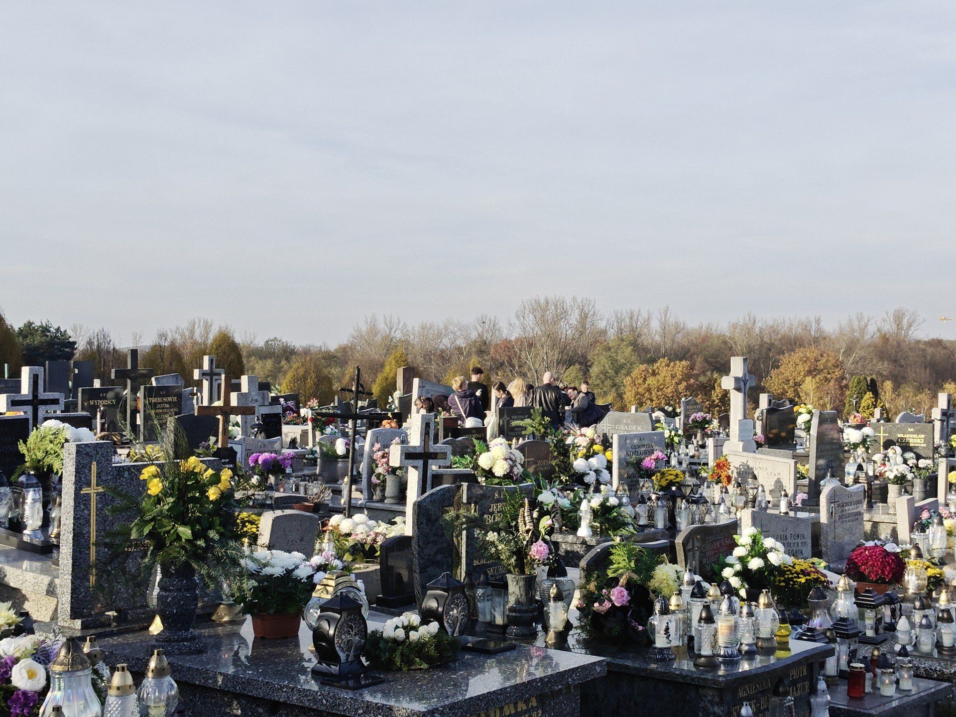 Przewijaj w dół, aby przejść do następnych zdjęć!