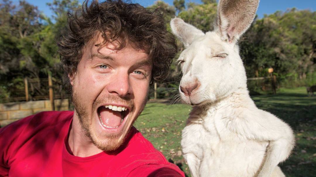 Pewien Irlandczyk opanował sztukę robienia selfie ze zwierzętami do perfekcji 1