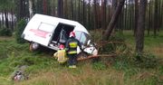 Pomorskie. Ranni w wypadku na DK22. Bus uderzył w drzewo