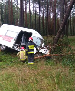 Pomorskie. Ranni w wypadku na DK22. Bus uderzył w drzewo