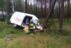Pomorskie. Ranni w wypadku na DK22. Bus uderzył w drzewo