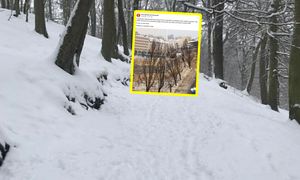 "Prawie jak na plaży". Niosą się obrazki z Trójmiasta