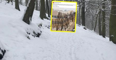 "Prawie jak na plaży". Niosą się obrazki z Trójmiasta