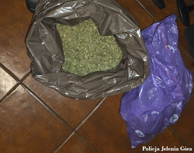 Policja zlikwidowała plantację narkotyków