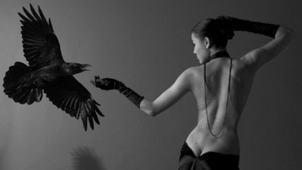 Fotoblogia na Sony World Photography Awards 2009 1