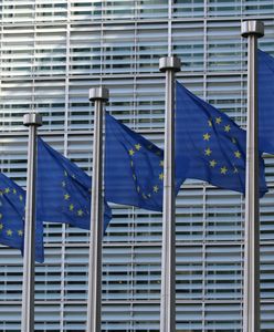 Polska pozwana do TSUE. W tle usługi cyfrowe i emisja CO2