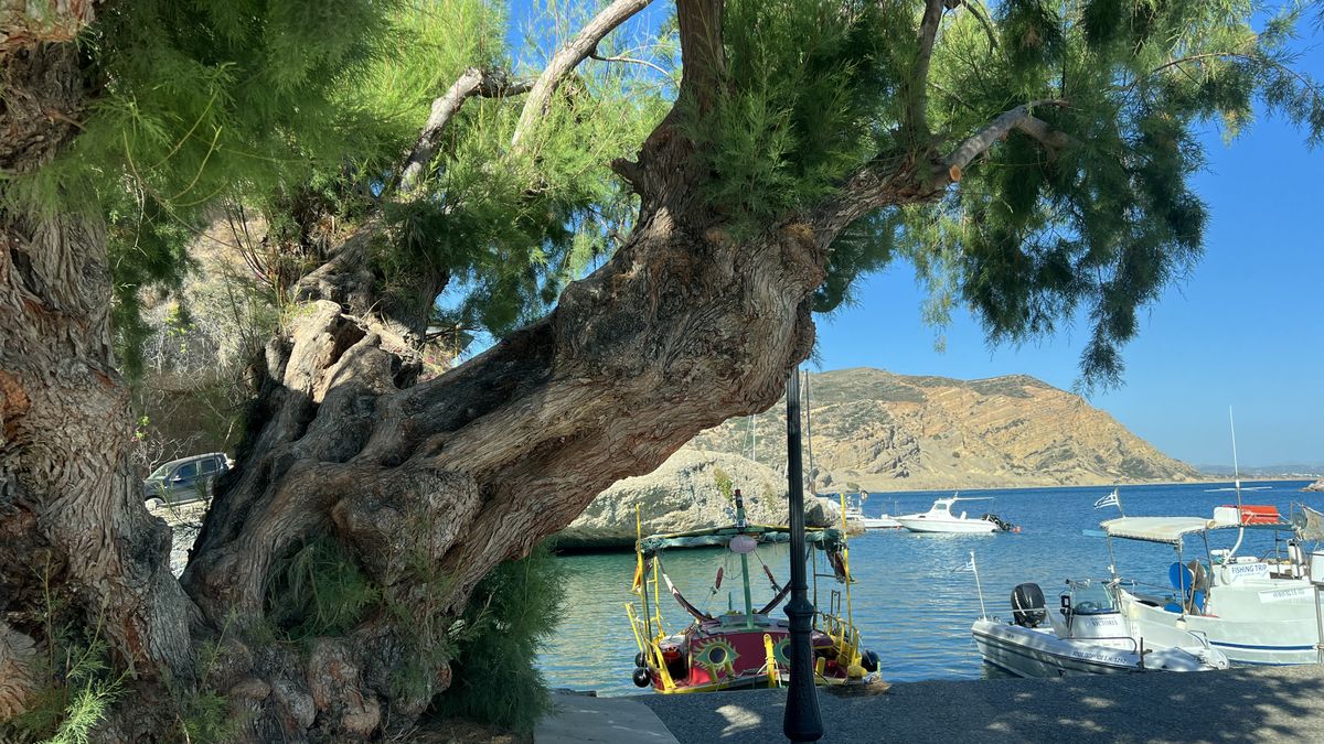 Kreta to wyspa dla miłośników natury, pięknych plaż i dobrego je