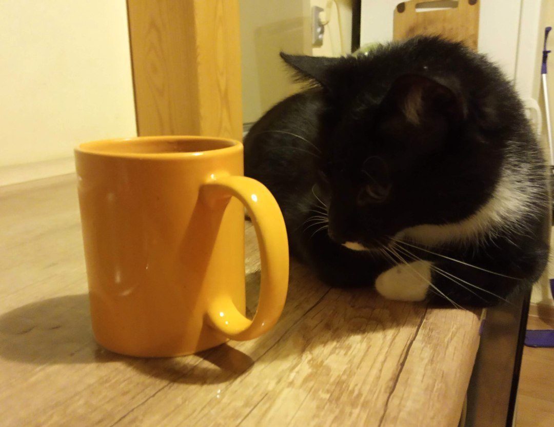 W oczekiwaniu na popołudniową herbatkę