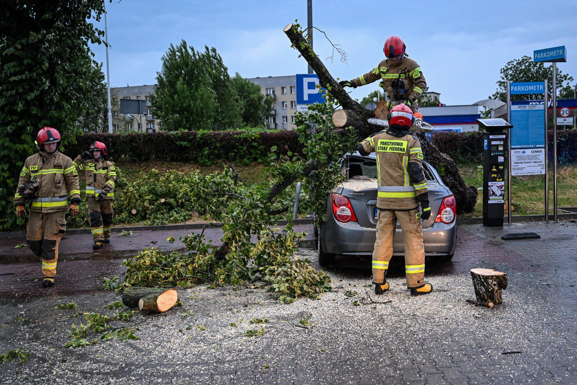 Drzewo spadło na auto na parkingu Lidla przy ul. Mickiewicza.