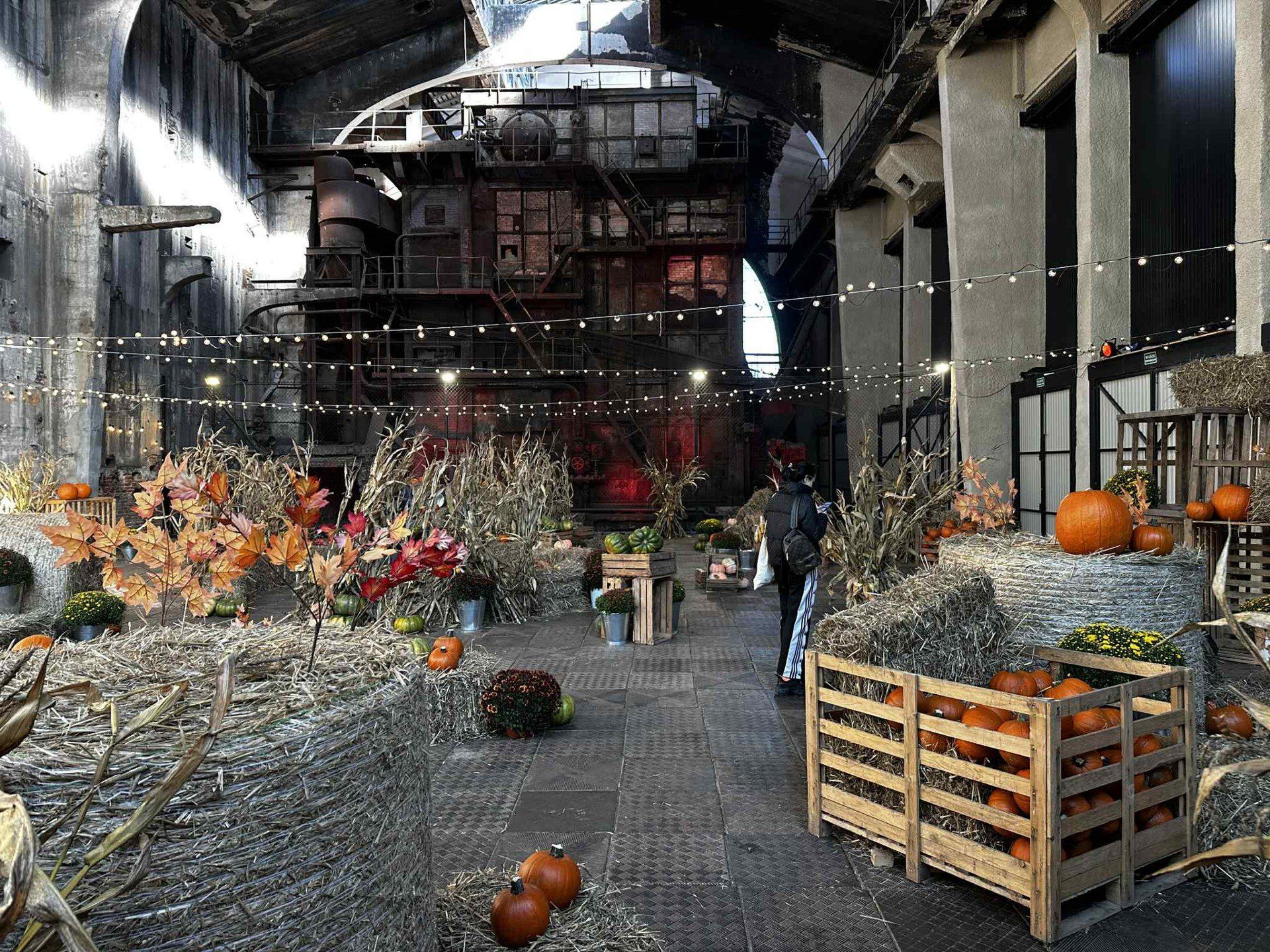 fuzja lodz, farma dyń, kotłownia