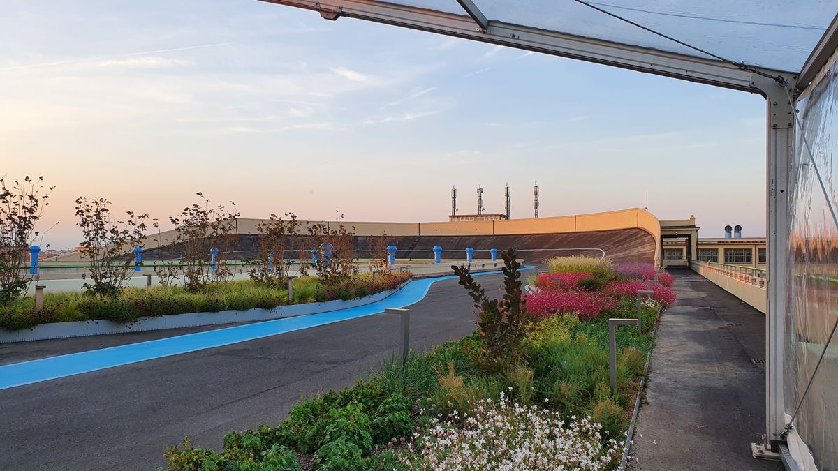 To mają być "zielone płuca" Turynu