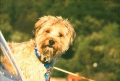 Nie pójdę z nieznajomym