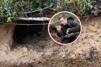 Zajrzał do nory w lesie. Nie tego się spodziewał. Pokazał, co zastał