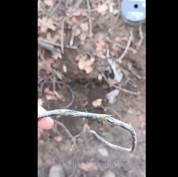 Są istną plagą na froncie. Potrafią nawet sparaliżować komunikację