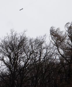 Rosja używa broni laserowej nowej generacji. Niszczy drony