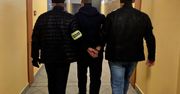 Katowice: 17 zarzutów dla podejrzanego o kradzieże