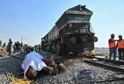 Efekt indyjskiej deforestacji. Pociąg pasażerski uderzył w stado słoni