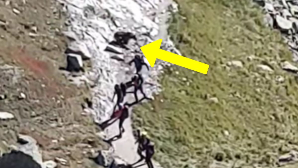 Niedźwiedź w Tatrach omal nie wbiegł w turystów