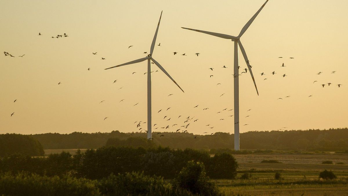 Ustawa o rynku mocy wejdzie w życie dopiero od 2021 roku, ale elektrownie już liczą zyski. Wiatraki mogą być bardziej opłacalne