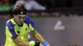 ATP Auckland: Ferrer odniósł 550. zwycięstwo, Isner - Kohlschreiber w ćwierćfinale