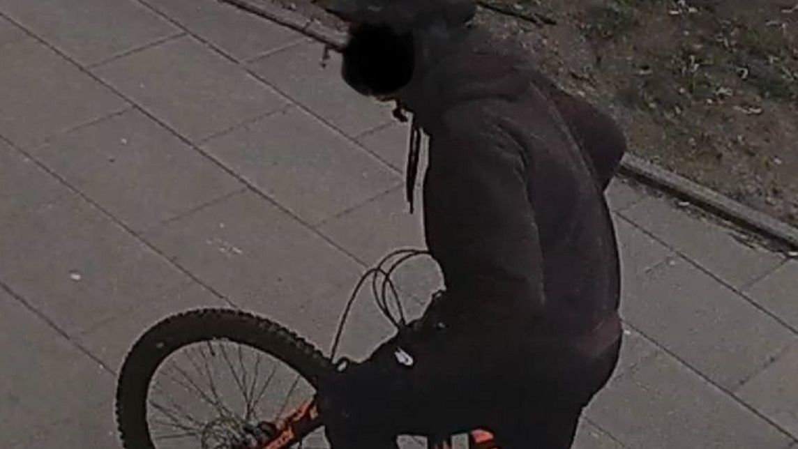 Bulwersujące zdarzenie w Warszawie. Rowerzysta przejechał psa