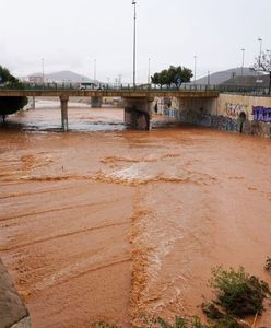 Nie tylko powódź. We Włoszech jest jeszcze jeden problem