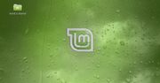 Linux Mint 7 czyli świeże Ubuntu