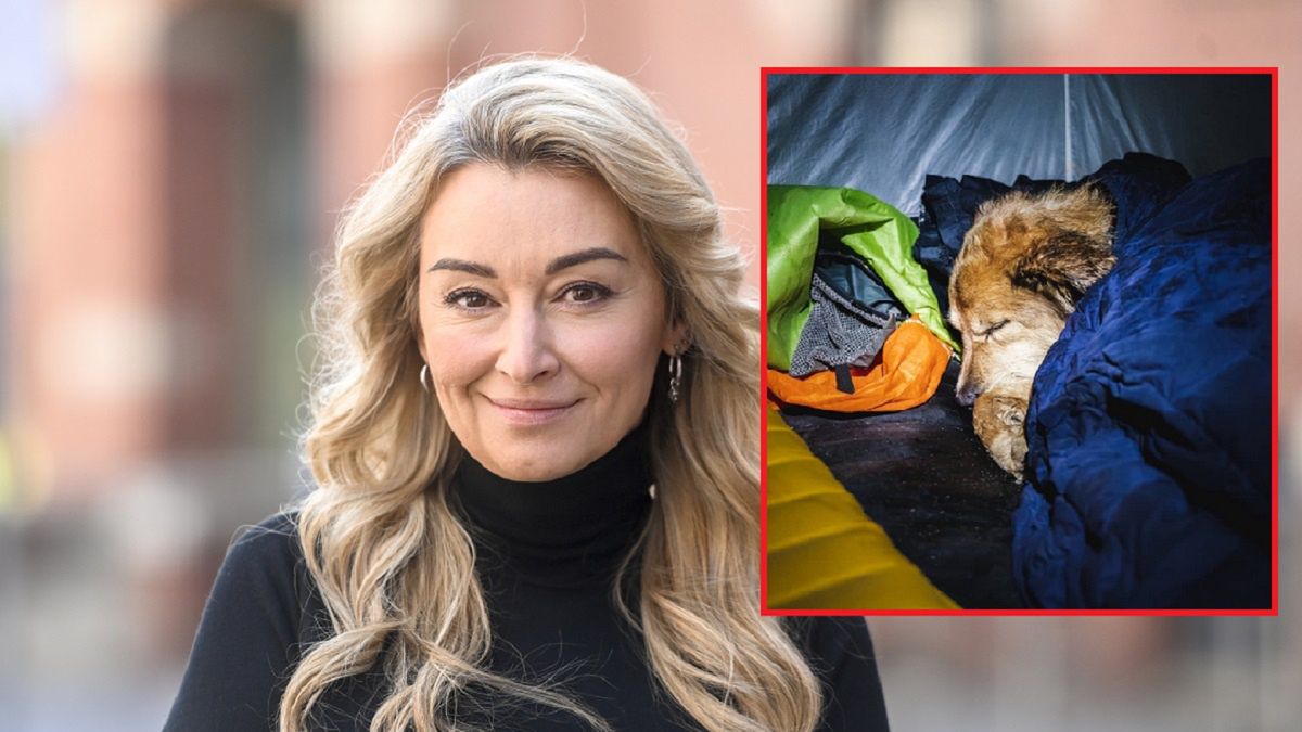 To pierwszy taki pies w historii