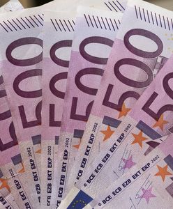 Sprzątali dom, znaleźli 600 tys. euro. Chcieli 100 tys. euro nagrody