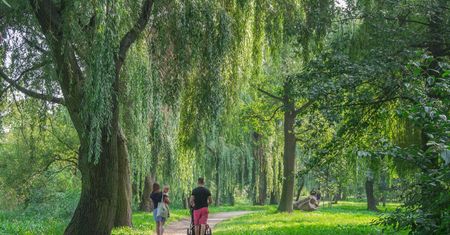 Stawiają dom na terenie miejskiego lasku. WSA mówi o "dogodnym miejscu pod zabudowę"