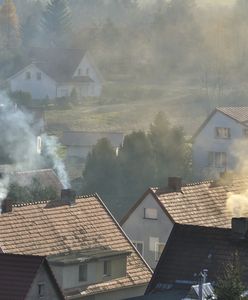 Wrocław. Walka ze smogiem trwa. Rozdano pieniądze na termomodernizację